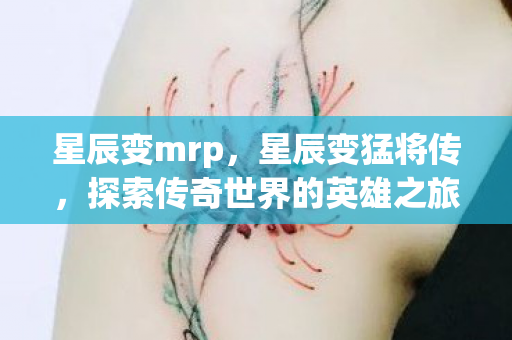 星辰变mrp，星辰变猛将传，探索传奇世界的英雄之旅