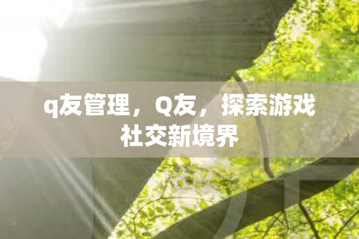 q友管理,Q友,探索游戏社交新境界 q友管理,Q友,探索游戏社交新境界