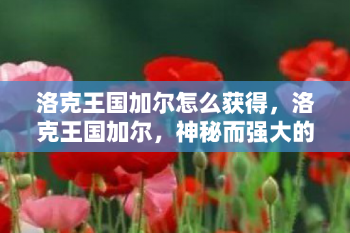 洛克王国加尔怎么获得，洛克王国加尔，神秘而强大的守护者