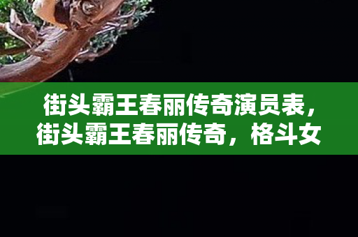 街头霸王春丽传奇演员表,街头霸王春丽传奇,格斗女皇的辉煌篇章 街头霸王春丽传奇演员表,街头霸王春丽传奇,格斗女皇的辉煌篇章