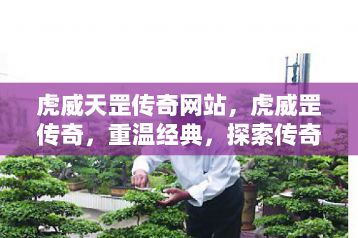 虎威天罡传奇网站，虎威罡传奇，重温经典，探索传奇世界的无限可能