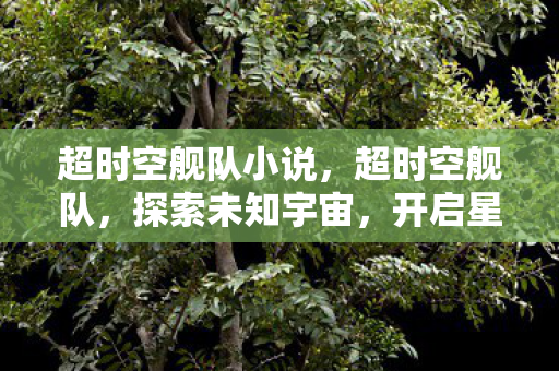 超时空舰队小说,超时空舰队,探索未知宇宙,开启星际征途 超时空舰队小说,超时空舰队,探索未知宇宙,开启星际征途