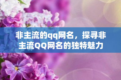 非主流的qq网名,探寻非主流QQ网名的独特魅力 非主流的qq网名,探寻非主流QQ网名的独特魅力