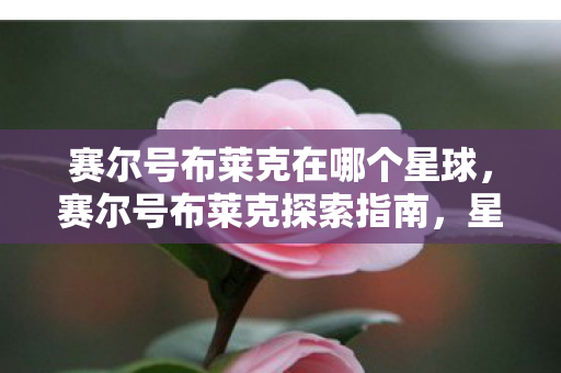 赛尔号布莱克在哪个星球,赛尔号布莱克探索指南,星际迷航的奇幻之旅 赛尔号布莱克在哪个星球,赛尔号布莱克探索指南,星际迷航的奇幻之旅