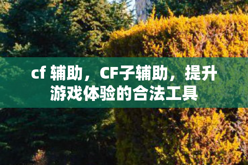 cf 辅助，CF子辅助，提升游戏体验的合法工具