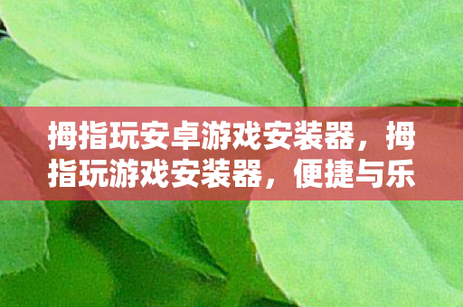 拇指玩安卓游戏安装器，拇指玩游戏安装器，便捷与乐趣的完美结合