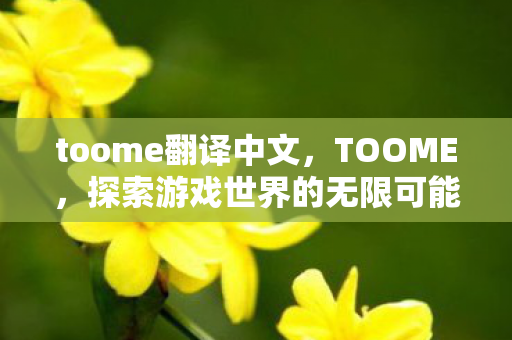 toome翻译中文,TOOME,探索游戏世界的无限可能 toome翻译中文,TOOME,探索游戏世界的无限可能