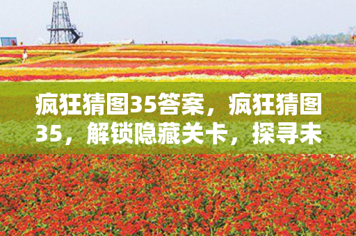 疯狂猜图35答案,疯狂猜图35,解锁隐藏关卡,探寻未知谜题 疯狂猜图35答案,疯狂猜图35,解锁隐藏关卡,探寻未知谜题