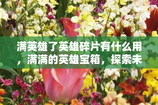 满英雄了英雄碎片有什么用,满满的英雄宝箱,探索未知世界的奇妙之旅 满英雄了英雄碎片有什么用,满满的英雄宝箱,探索未知世界的奇妙之旅