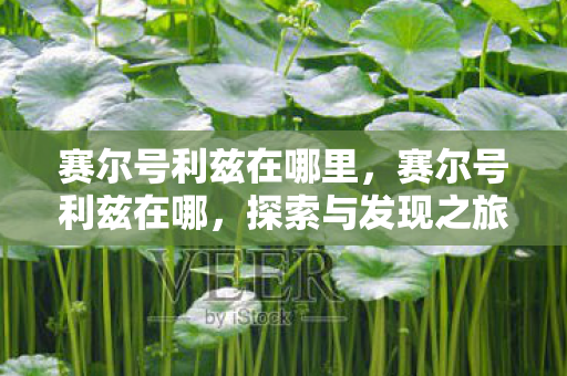 赛尔号利兹在哪里，赛尔号利兹在哪，探索与发现之旅