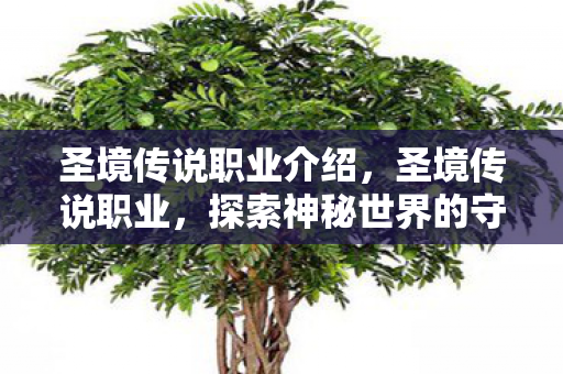 圣境传说职业介绍，圣境传说职业，探索神秘世界的守护者—游侠