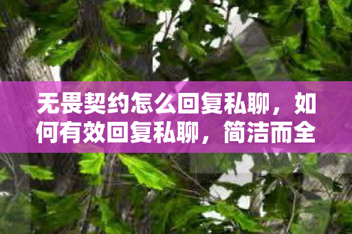 无畏契约怎么回复私聊,如何有效回复私聊,简洁而全面的沟通策略 无畏契约怎么回复私聊,如何有效回复私聊,简洁而全面的沟通策略