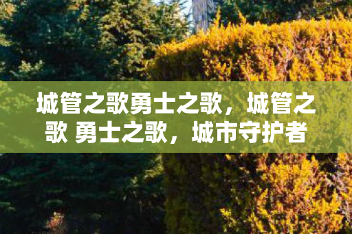 城管之歌勇士之歌,城管之歌 勇士之歌,城市守护者奏响时代强音 城管之歌勇士之歌,城管之歌 勇士之歌,城市守护者奏响时代强音