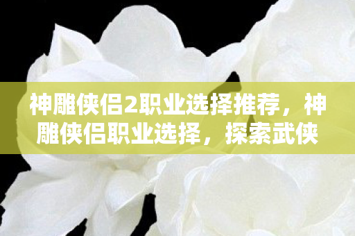 神雕侠侣2职业选择推荐，神雕侠侣职业选择，探索武侠世界的多元职业