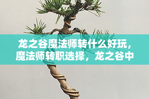 龙之谷魔法师转什么好玩,魔法师转职选择,龙之谷中的魔法之路 龙之谷魔法师转什么好玩,魔法师转职选择,龙之谷中的魔法之路