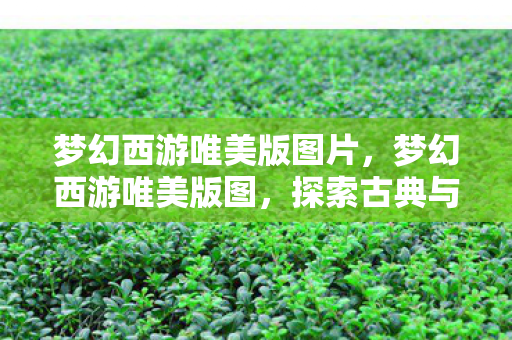 梦幻西游唯美版图片,梦幻西游唯美版图,探索古典与现代的完美融合 梦幻西游唯美版图片,梦幻西游唯美版图,探索古典与现代的完美融合