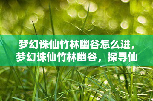 梦幻诛仙竹林幽谷怎么进,梦幻诛仙竹林幽谷,探寻仙境中的神秘之地 梦幻诛仙竹林幽谷怎么进,梦幻诛仙竹林幽谷,探寻仙境中的神秘之地