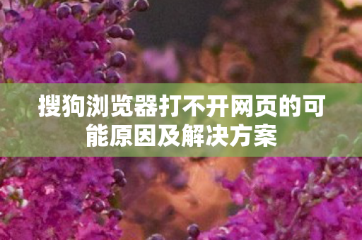 搜狗浏览器打不开网页的可能原因及解决方案 搜狗浏览器打不开网页的可能原因及解决方案