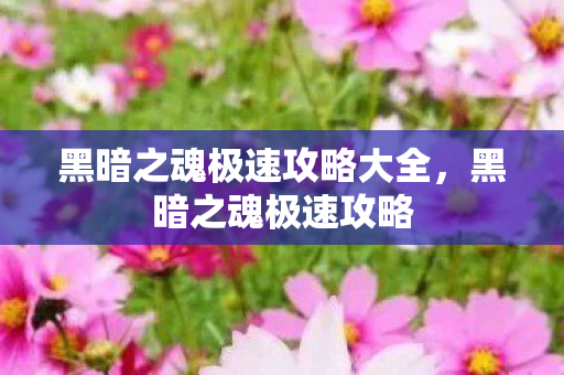黑暗之魂极速攻略大全,黑暗之魂极速攻略 黑暗之魂极速攻略大全,黑暗之魂极速攻略