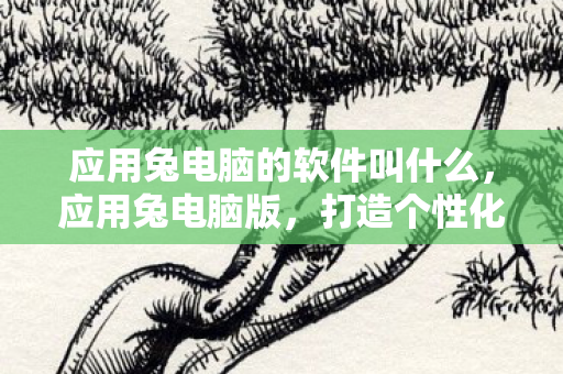 应用兔电脑的软件叫什么,应用兔电脑版,打造个性化电脑体验,尽享高效便捷 应用兔电脑的软件叫什么,应用兔电脑版,打造个性化电脑体验,尽享高效便捷
