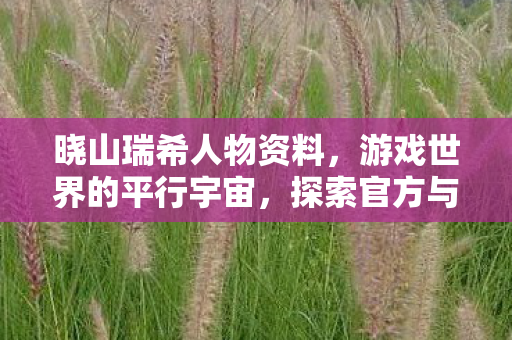 晓山瑞希人物资料,游戏世界的平行宇宙,探索官方与私服的独特魅力 晓山瑞希人物资料,游戏世界的平行宇宙,探索官方与私服的独特魅力