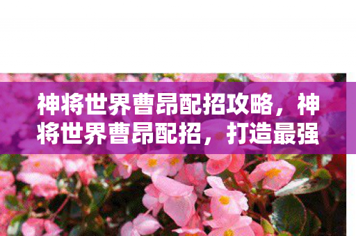 神将世界曹昂配招攻略,神将世界曹昂配招,打造最强战斗阵容 神将世界曹昂配招攻略,神将世界曹昂配招,打造最强战斗阵容