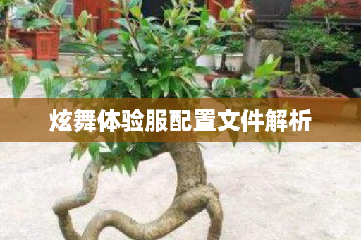 炫舞体验服配置文件解析 炫舞体验服配置文件解析