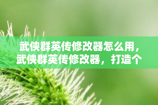 武侠群英传修改器怎么用,武侠群英传修改器,打造个性化江湖体验 武侠群英传修改器怎么用,武侠群英传修改器,打造个性化江湖体验