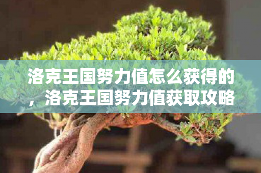 洛克王国努力值怎么获得的,洛克王国努力值获取攻略 洛克王国努力值怎么获得的,洛克王国努力值获取攻略