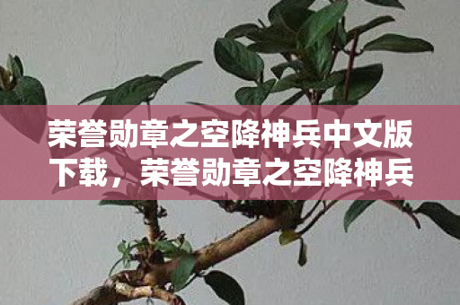 荣誉勋章之空降神兵中文版下载,荣誉勋章之空降神兵中文版,重温经典战役,感受空降神兵的魅力 荣誉勋章之空降神兵中文版下载,荣誉勋章之空降神兵中文版,重温经典战役,感受空降神兵的魅力