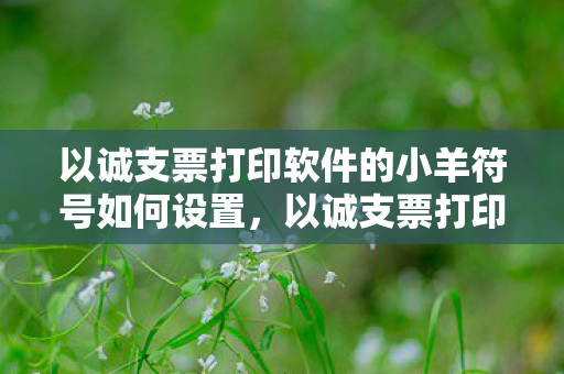 以诚支票打印软件的小羊符号如何设置,以诚支票打印软件,高效、安全、便捷的财务管理工具 以诚支票打印软件的小羊符号如何设置,以诚支票打印软件,高效、安全、便捷的财务管理工具