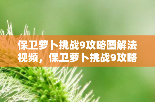 保卫萝卜挑战9攻略图解法视频,保卫萝卜挑战9攻略,打造最强防御阵容 保卫萝卜挑战9攻略图解法视频,保卫萝卜挑战9攻略,打造最强防御阵容