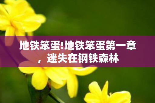 地铁笨蛋!地铁笨蛋第一章,迷失在钢铁森林 地铁笨蛋!地铁笨蛋第一章,迷失在钢铁森林