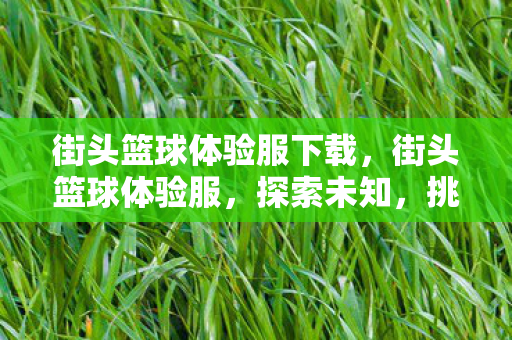 街头篮球体验服下载,街头篮球体验服,探索未知,挑战极限 街头篮球体验服下载,街头篮球体验服,探索未知,挑战极限