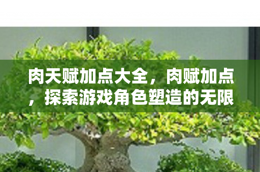 肉天赋加点大全,肉赋加点,探索游戏角色塑造的无限可能 肉天赋加点大全,肉赋加点,探索游戏角色塑造的无限可能