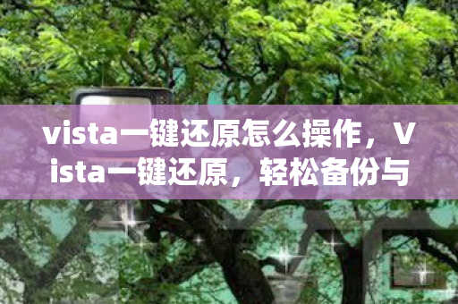 vista一键还原怎么操作,Vista一键还原,轻松备份与恢复系统 vista一键还原怎么操作,Vista一键还原,轻松备份与恢复系统