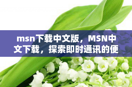 msn下载中文版,MSN中文下载,探索即时通讯的便捷与高效 msn下载中文版,MSN中文下载,探索即时通讯的便捷与高效