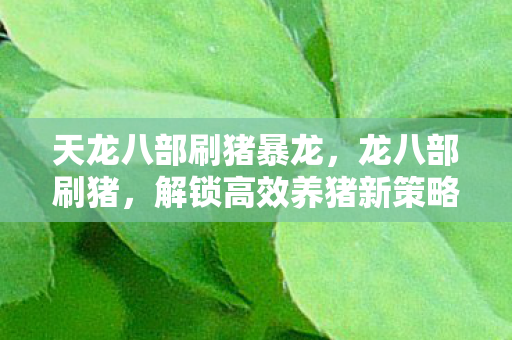 天龙八部刷猪暴龙,龙八部刷猪,解锁高效养猪新策略 天龙八部刷猪暴龙,龙八部刷猪,解锁高效养猪新策略