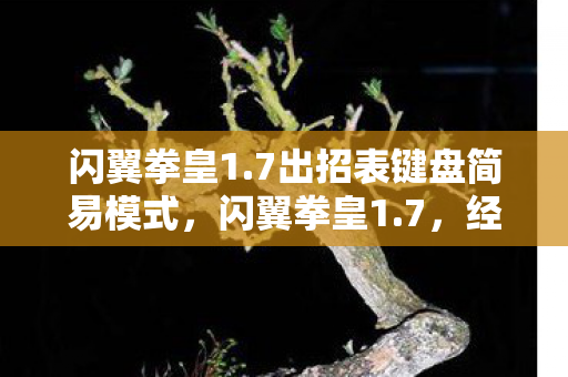 闪翼拳皇1.7出招表键盘简易模式,闪翼拳皇1.7,经典再现,格斗新体验 闪翼拳皇1.7出招表键盘简易模式,闪翼拳皇1.7,经典再现,格斗新体验