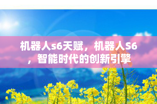 机器人s6天赋,机器人S6,智能时代的创新引擎 机器人s6天赋,机器人S6,智能时代的创新引擎