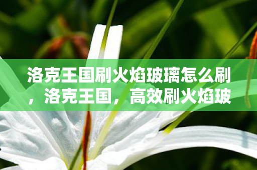 洛克王国刷火焰玻璃怎么刷，洛克王国，高效刷火焰玻璃攻略