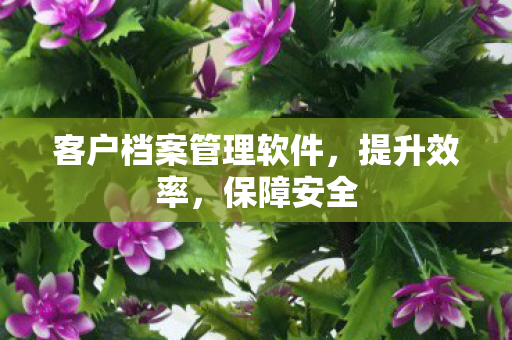 客户档案管理软件,提升效率,保障安全 客户档案管理软件,提升效率,保障安全