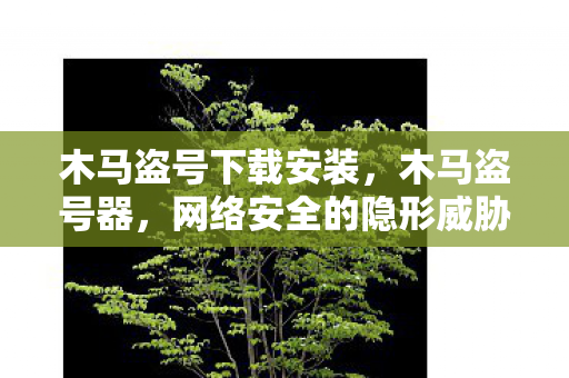 木马盗号下载安装，木马盗号器，网络安全的隐形威胁