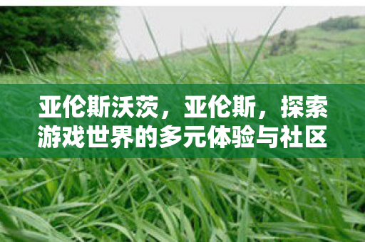 亚伦斯沃茨,亚伦斯,探索游戏世界的多元体验与社区互动 亚伦斯沃茨,亚伦斯,探索游戏世界的多元体验与社区互动