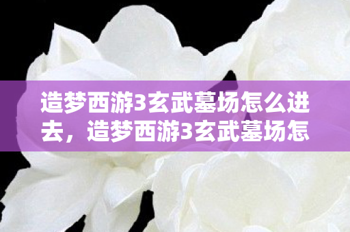 造梦西游3玄武墓场怎么进去,造梦西游3玄武墓场怎么进 造梦西游3玄武墓场怎么进去,造梦西游3玄武墓场怎么进