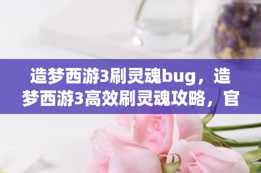 造梦西游3刷灵魂bug,造梦西游3高效刷灵魂攻略,官方认可的方法与技巧 造梦西游3刷灵魂bug,造梦西游3高效刷灵魂攻略,官方认可的方法与技巧