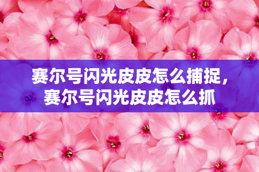 赛尔号闪光皮皮怎么捕捉，赛尔号闪光皮皮怎么抓