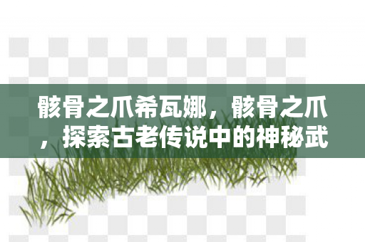 骸骨之爪希瓦娜,骸骨之爪,探索古老传说中的神秘武器 骸骨之爪希瓦娜,骸骨之爪,探索古老传说中的神秘武器