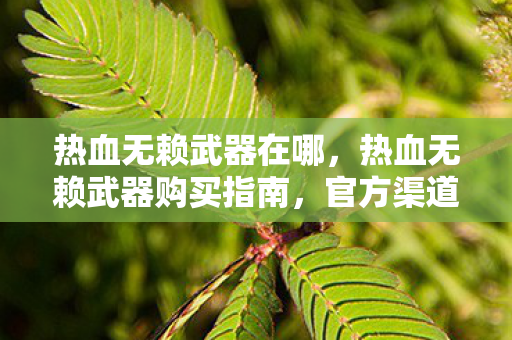 热血无赖武器在哪,热血无赖武器购买指南,官方渠道与实用建议 热血无赖武器在哪,热血无赖武器购买指南,官方渠道与实用建议