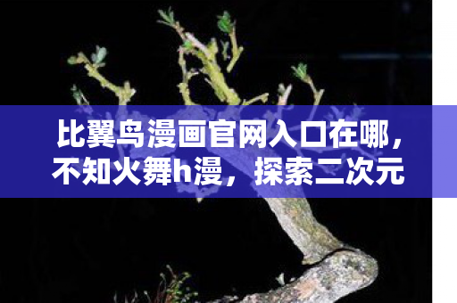 比翼鸟漫画官网入口在哪,不知火舞h漫,探索二次元世界的奇幻之旅 比翼鸟漫画官网入口在哪,不知火舞h漫,探索二次元世界的奇幻之旅